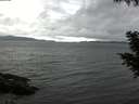 ./images/koeye/fitz-hugh/20200830/fitz-hugh20200830_165001.jpg