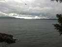 ./images/koeye/fitz-hugh/20200830/fitz-hugh20200830_171001.jpg