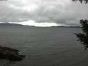 ./images/koeye/fitz-hugh/20200830/fitz-hugh20200830_173501.jpg