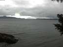 ./images/koeye/fitz-hugh/20200830/fitz-hugh20200830_174001.jpg