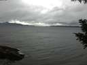 ./images/koeye/fitz-hugh/20200830/fitz-hugh20200830_175001.jpg