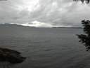 ./images/koeye/fitz-hugh/20200830/fitz-hugh20200830_175501.jpg