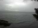 ./images/koeye/fitz-hugh/20200830/fitz-hugh20200830_182001.jpg