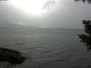 ./images/koeye/fitz-hugh/20200830/fitz-hugh20200830_182502.jpg