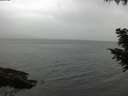 ./images/koeye/fitz-hugh/20200830/fitz-hugh20200830_183502.jpg