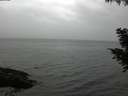 ./images/koeye/fitz-hugh/20200830/fitz-hugh20200830_184002.jpg