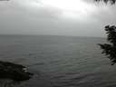 ./images/koeye/fitz-hugh/20200830/fitz-hugh20200830_184502.jpg