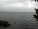 ./images/koeye/fitz-hugh/20200830/fitz-hugh20200830_185002.jpg