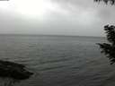 ./images/koeye/fitz-hugh/20200830/fitz-hugh20200830_190502.jpg