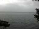 ./images/koeye/fitz-hugh/20200830/fitz-hugh20200830_191502.jpg