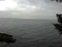 ./images/koeye/fitz-hugh/20200830/fitz-hugh20200830_194501.jpg