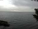 ./images/koeye/fitz-hugh/20200830/fitz-hugh20200830_195001.jpg