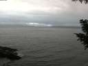 ./images/koeye/fitz-hugh/20200830/fitz-hugh20200830_200501.jpg