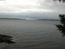 ./images/koeye/fitz-hugh/20200830/fitz-hugh20200830_204001.jpg