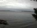 ./images/koeye/fitz-hugh/20200830/fitz-hugh20200830_204501.jpg