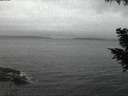 ./images/koeye/fitz-hugh/20200830/fitz-hugh20200830_205501.jpg