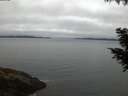 ./images/koeye/fitz-hugh/20200831/fitz-hugh20200831_061501.jpg