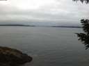 ./images/koeye/fitz-hugh/20200831/fitz-hugh20200831_062502.jpg