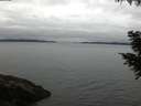 ./images/koeye/fitz-hugh/20200831/fitz-hugh20200831_064002.jpg