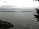 ./images/koeye/fitz-hugh/20200831/fitz-hugh20200831_064502.jpg