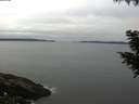 ./images/koeye/fitz-hugh/20200831/fitz-hugh20200831_070502.jpg