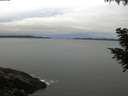 ./images/koeye/fitz-hugh/20200831/fitz-hugh20200831_071502.jpg