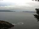./images/koeye/fitz-hugh/20200831/fitz-hugh20200831_072502.jpg