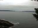 ./images/koeye/fitz-hugh/20200831/fitz-hugh20200831_073502.jpg