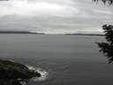 ./images/koeye/fitz-hugh/20200831/fitz-hugh20200831_074001.jpg
