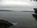 ./images/koeye/fitz-hugh/20200831/fitz-hugh20200831_074501.jpg