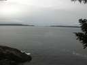 ./images/koeye/fitz-hugh/20200831/fitz-hugh20200831_075501.jpg