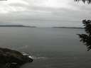 ./images/koeye/fitz-hugh/20200831/fitz-hugh20200831_081501.jpg