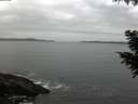 ./images/koeye/fitz-hugh/20200831/fitz-hugh20200831_082001.jpg