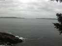 ./images/koeye/fitz-hugh/20200831/fitz-hugh20200831_082501.jpg
