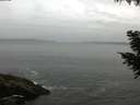 ./images/koeye/fitz-hugh/20200831/fitz-hugh20200831_083501.jpg