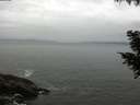 ./images/koeye/fitz-hugh/20200831/fitz-hugh20200831_084501.jpg