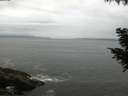 ./images/koeye/fitz-hugh/20200831/fitz-hugh20200831_085501.jpg