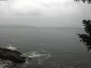 ./images/koeye/fitz-hugh/20200831/fitz-hugh20200831_090501.jpg