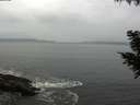 ./images/koeye/fitz-hugh/20200831/fitz-hugh20200831_093501.jpg