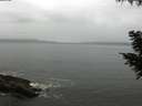 ./images/koeye/fitz-hugh/20200831/fitz-hugh20200831_094001.jpg