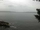 ./images/koeye/fitz-hugh/20200831/fitz-hugh20200831_094502.jpg