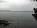 ./images/koeye/fitz-hugh/20200831/fitz-hugh20200831_095002.jpg