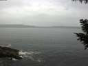 ./images/koeye/fitz-hugh/20200831/fitz-hugh20200831_095502.jpg