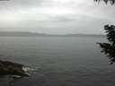 ./images/koeye/fitz-hugh/20200831/fitz-hugh20200831_100002.jpg
