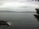 ./images/koeye/fitz-hugh/20200831/fitz-hugh20200831_100502.jpg