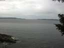 ./images/koeye/fitz-hugh/20200831/fitz-hugh20200831_101002.jpg