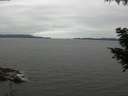 ./images/koeye/fitz-hugh/20200831/fitz-hugh20200831_110501.jpg