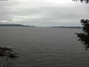./images/koeye/fitz-hugh/20200831/fitz-hugh20200831_111001.jpg
