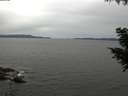 ./images/koeye/fitz-hugh/20200831/fitz-hugh20200831_111501.jpg