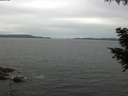 ./images/koeye/fitz-hugh/20200831/fitz-hugh20200831_112001.jpg